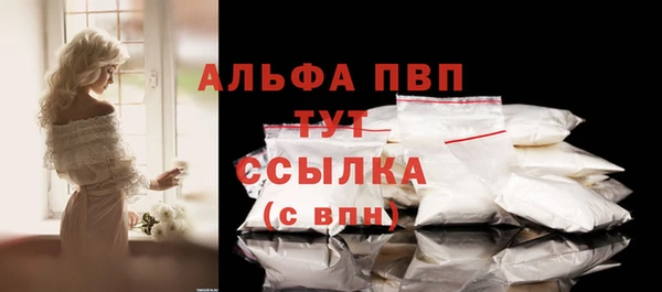 PSILOCYBIN Осташков
