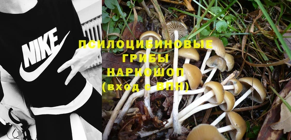 PSILOCYBIN Осташков