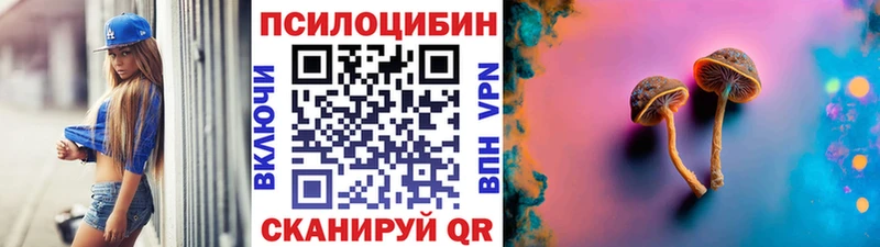 Псилоцибиновые грибы мицелий Алдан